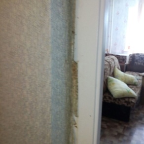 Уничтожение клопов в квартире с гарантией Красноярск