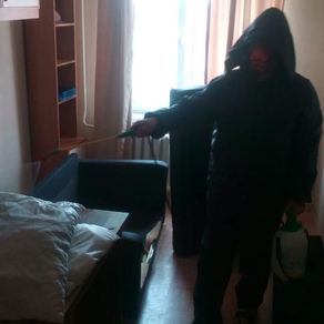 Выведение тараканов в квартире с гарантией в Красноярске