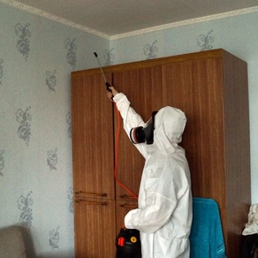 Борьба с клопами в домашних условиях – Красноярск