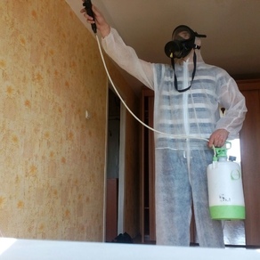 Уничтожение тараканов в квартире – цена в Красноярске