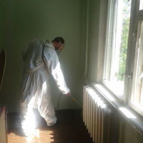 Уничтожить тараканов в квартире в Красноярске