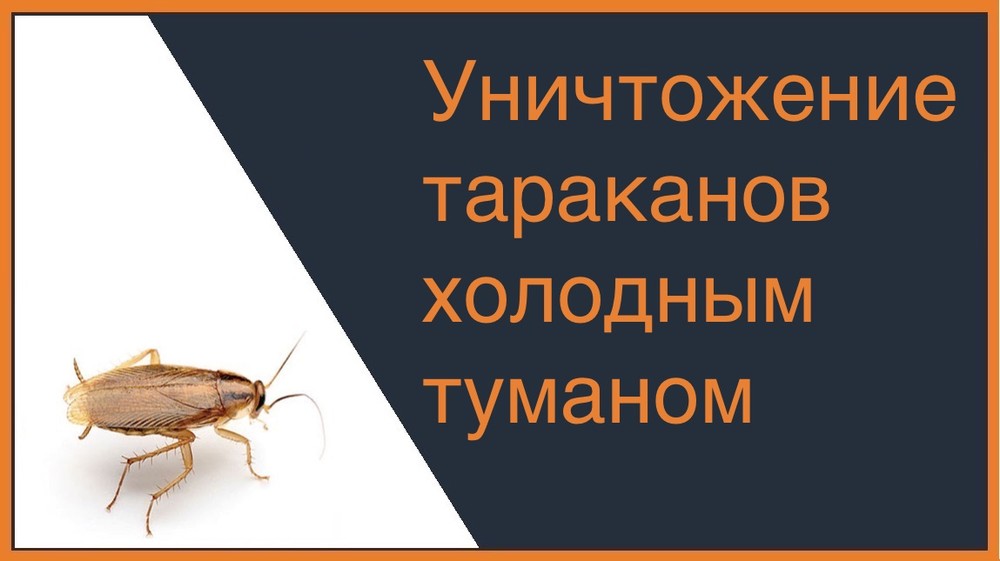 Уничтожение тараканов холодным туманом в Красноярске