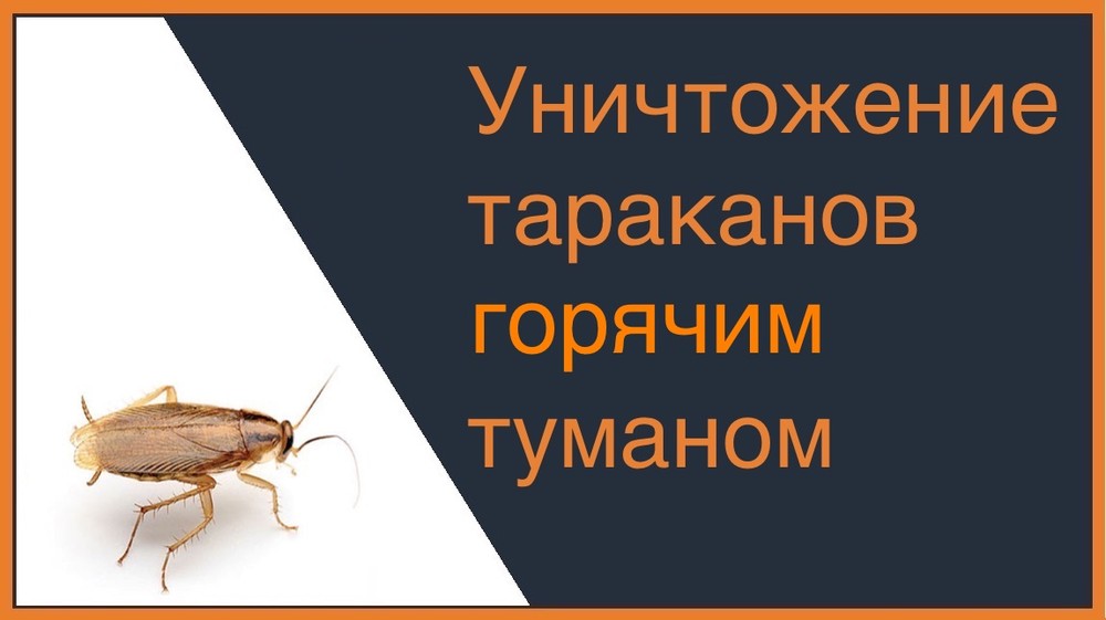 Уничтожение тараканов горячим туманом в Красноярске